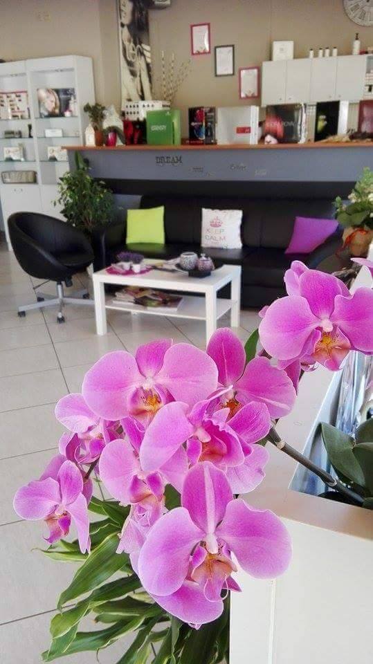 ΚΟΥΡΕΙΟ ΚΟΜΜΩΤΙΡΙΟ SOFIA